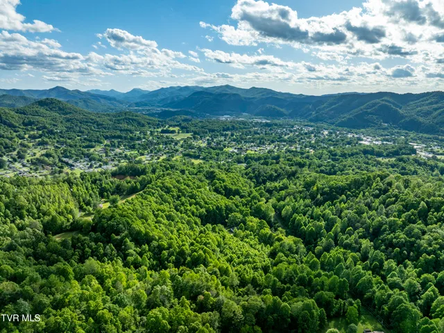 $149,900 | Tbd Blaine White Road, Erwin, TN 37650