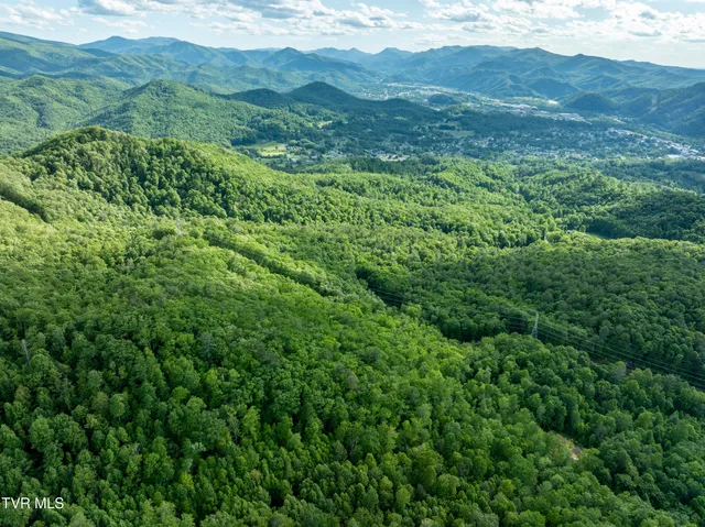$149,900 | Tbd Blaine White Road, Erwin, TN 37650