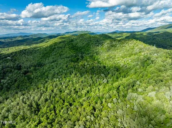 $149,900 | Tbd Blaine White Road, Erwin, TN 37650