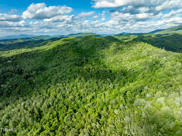 $149,900 | Tbd Blaine White Road, Erwin, TN 37650