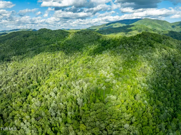 $149,900 | Tbd Blaine White Road, Erwin, TN 37650