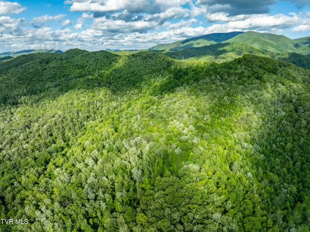 $149,900 | Tbd Blaine White Road, Erwin, TN 37650