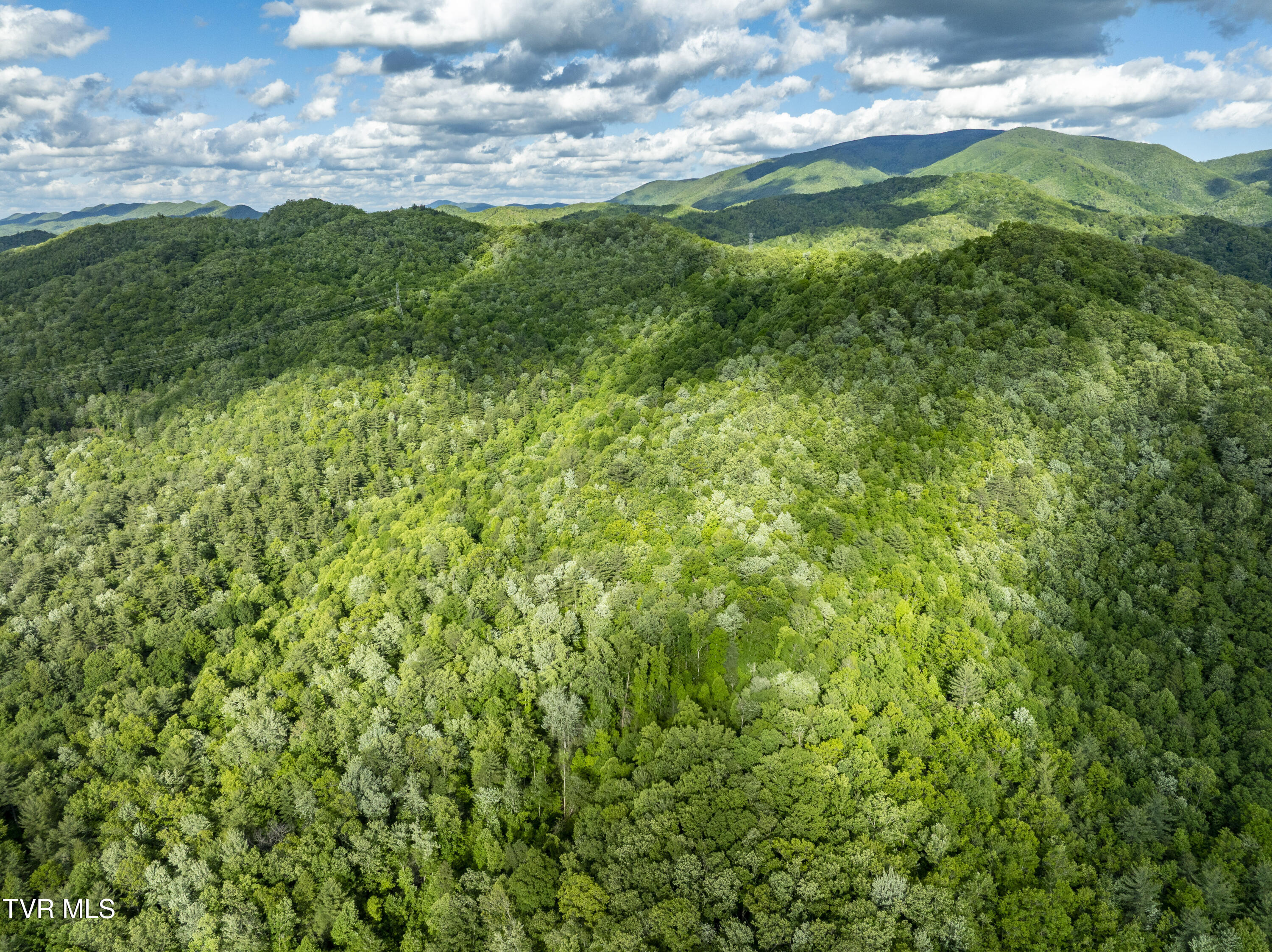 Tbd Blaine White Road Erwin, TN 37650 - Photo 7 of 20 NortonHollow-14