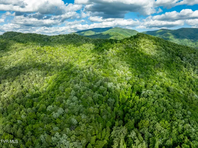 $149,900 | Tbd Blaine White Road, Erwin, TN 37650