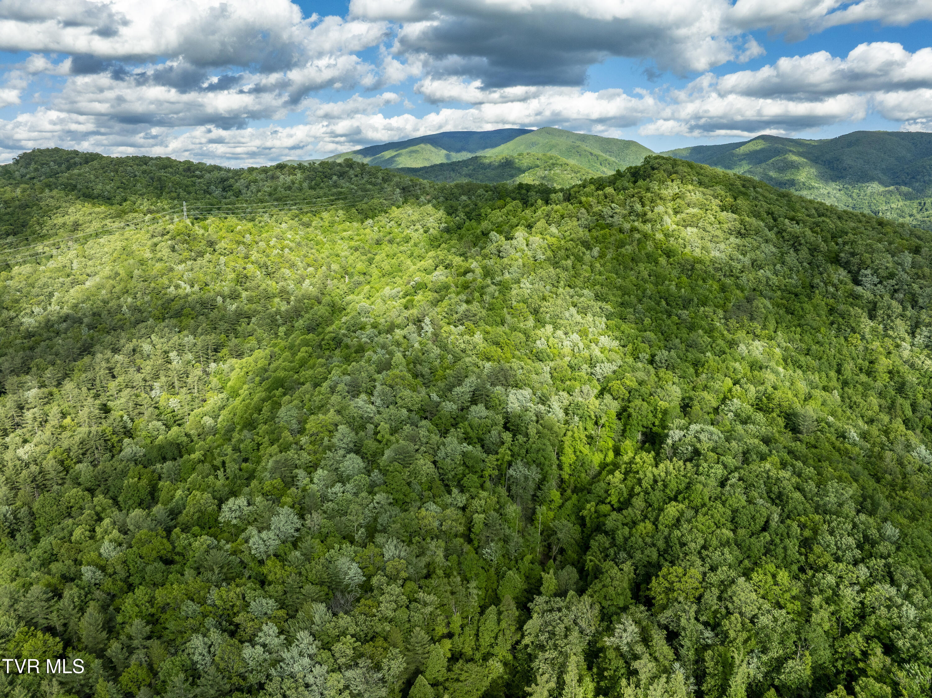 Tbd Blaine White Road Erwin, TN 37650 - Photo 8 of 20 NortonHollow-16