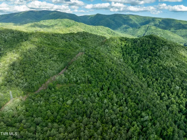 $149,900 | Tbd Blaine White Road, Erwin, TN 37650