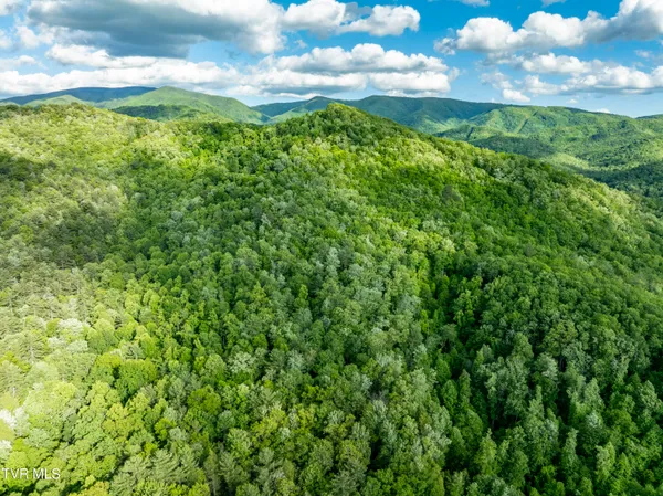 $149,900 | Tbd Blaine White Road, Erwin, TN 37650
