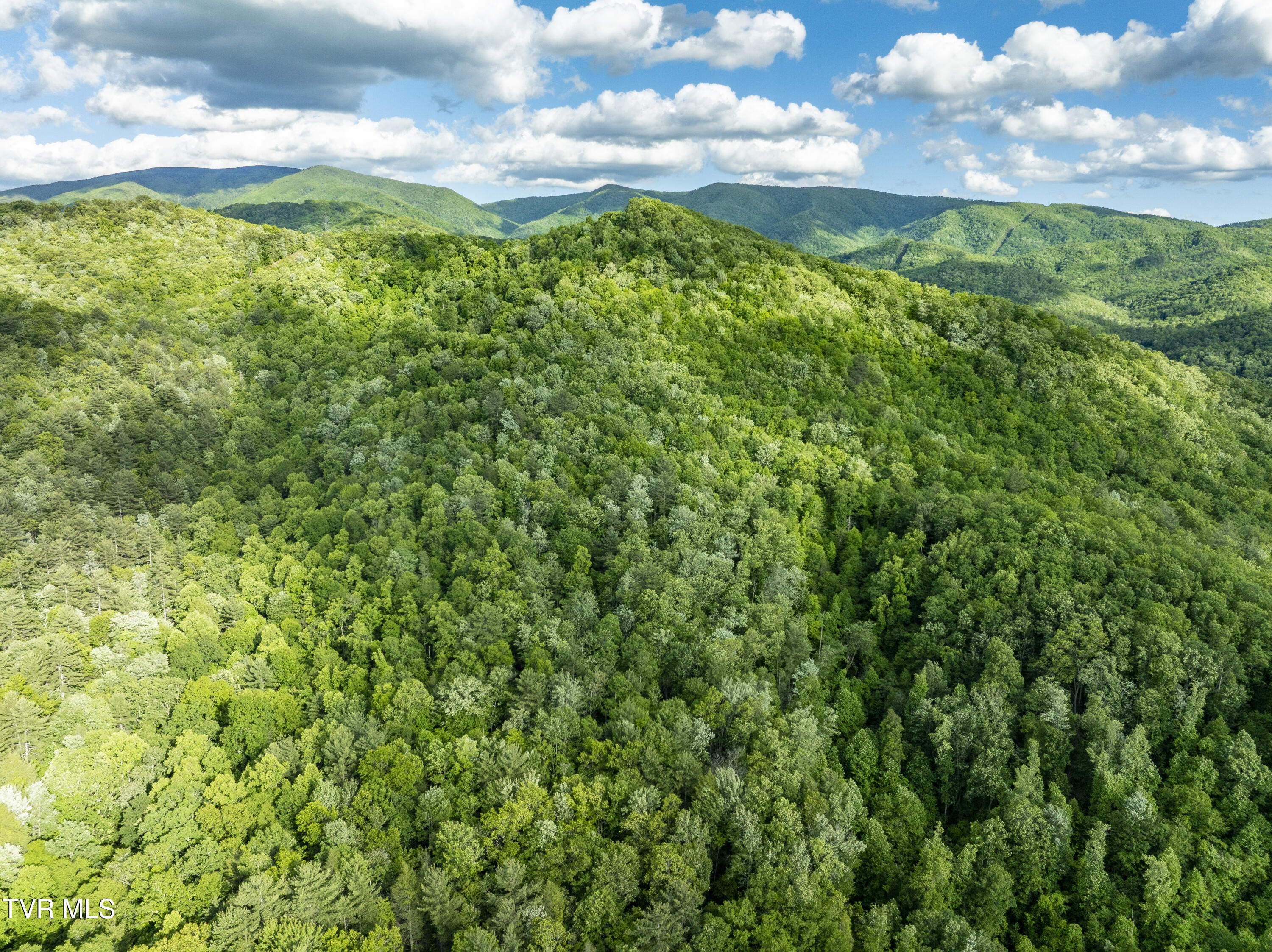 Tbd Blaine White Road Erwin, TN 37650 - Photo 10 of 20 NortonHollow-17