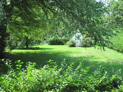 3137 Trinity Road Lexington, KY 40503 - Photo 10 of 17 View of backyard from Living Room "pictu