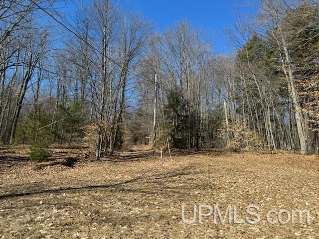 5944 South Northrough Road Wetmore, MI 49895 - Photo 7 of 17 Gallery Image 7