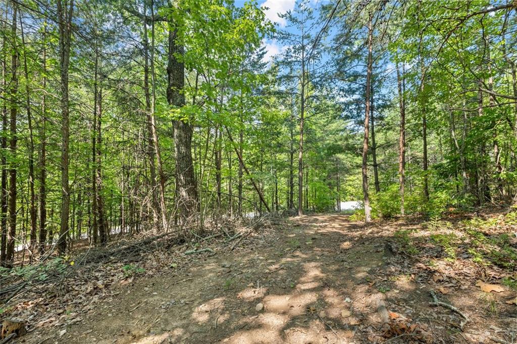 0 Highlands Lake Trail Clarkesville, GA 30523 - Photo 1 of 26