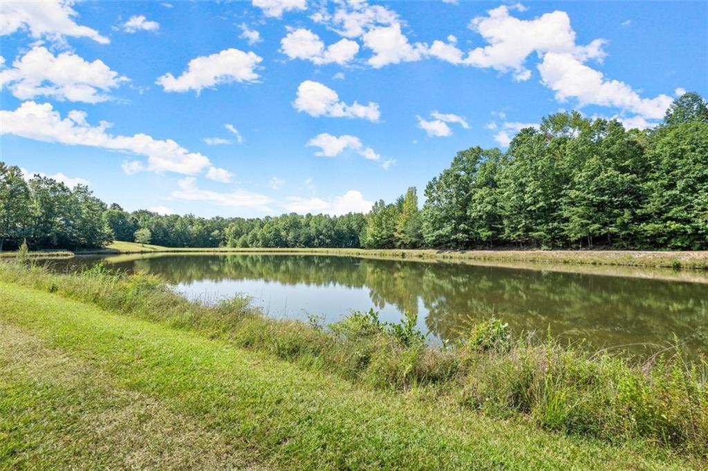 0 Highlands Lake Trail Clarkesville, GA 30523 - Photo 14 of 26