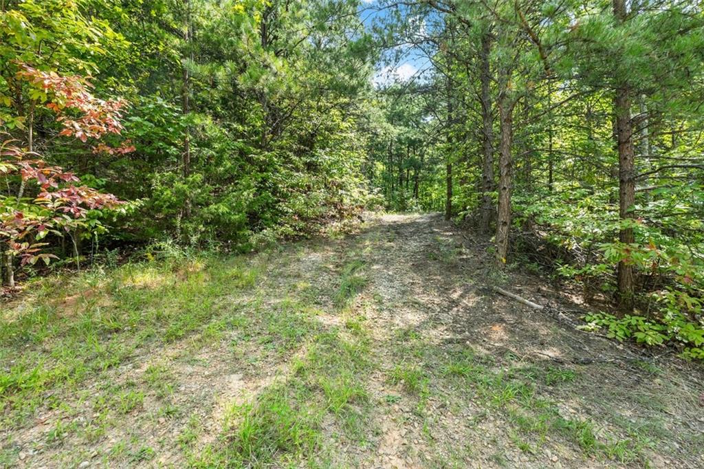 0 Highlands Lake Trail Clarkesville, GA 30523 - Photo 5 of 26
