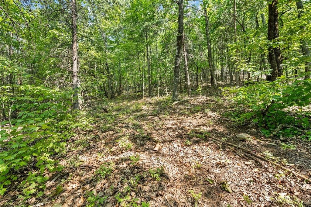 0 Highlands Lake Trail Clarkesville, GA 30523 - Photo 6 of 26