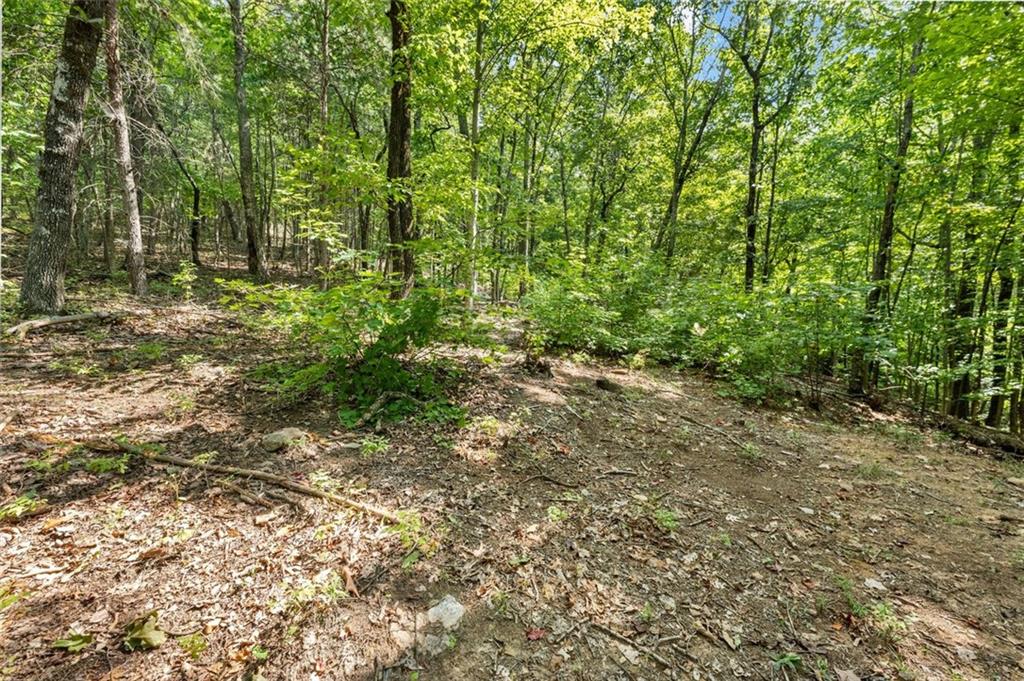 0 Highlands Lake Trail Clarkesville, GA 30523 - Photo 7 of 26
