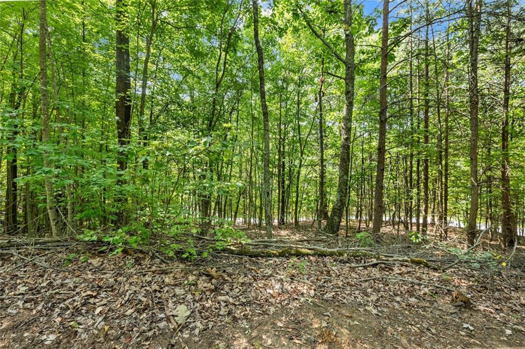 0 Highlands Lake Trail Clarkesville, GA 30523 - Photo 9 of 26