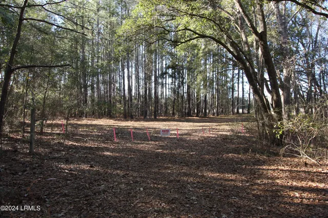 $109,500 | Tbd West Morgandollar Road, Ridgeland, SC 29936