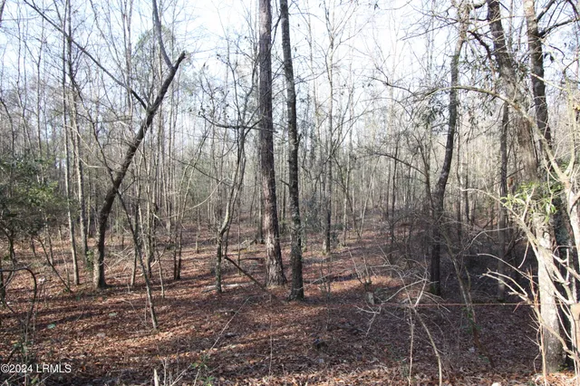 $109,500 | Tbd West Morgandollar Road, Ridgeland, SC 29936