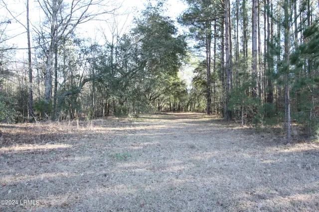 $109,500 | Tbd West Morgandollar Road, Ridgeland, SC 29936