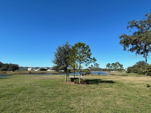 13850 Moosehead Circle Hudson, FL 34669 - Photo 47 of 71 a view of lake with trees