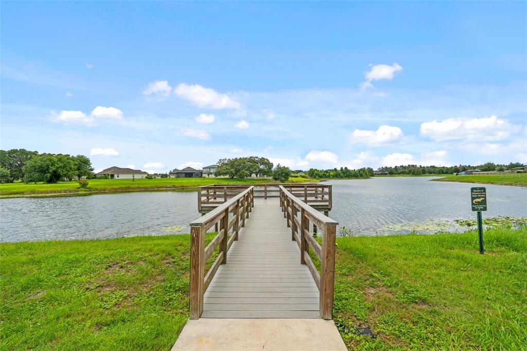 13850 Moosehead Circle Hudson, FL 34669 - Photo 68 of 71