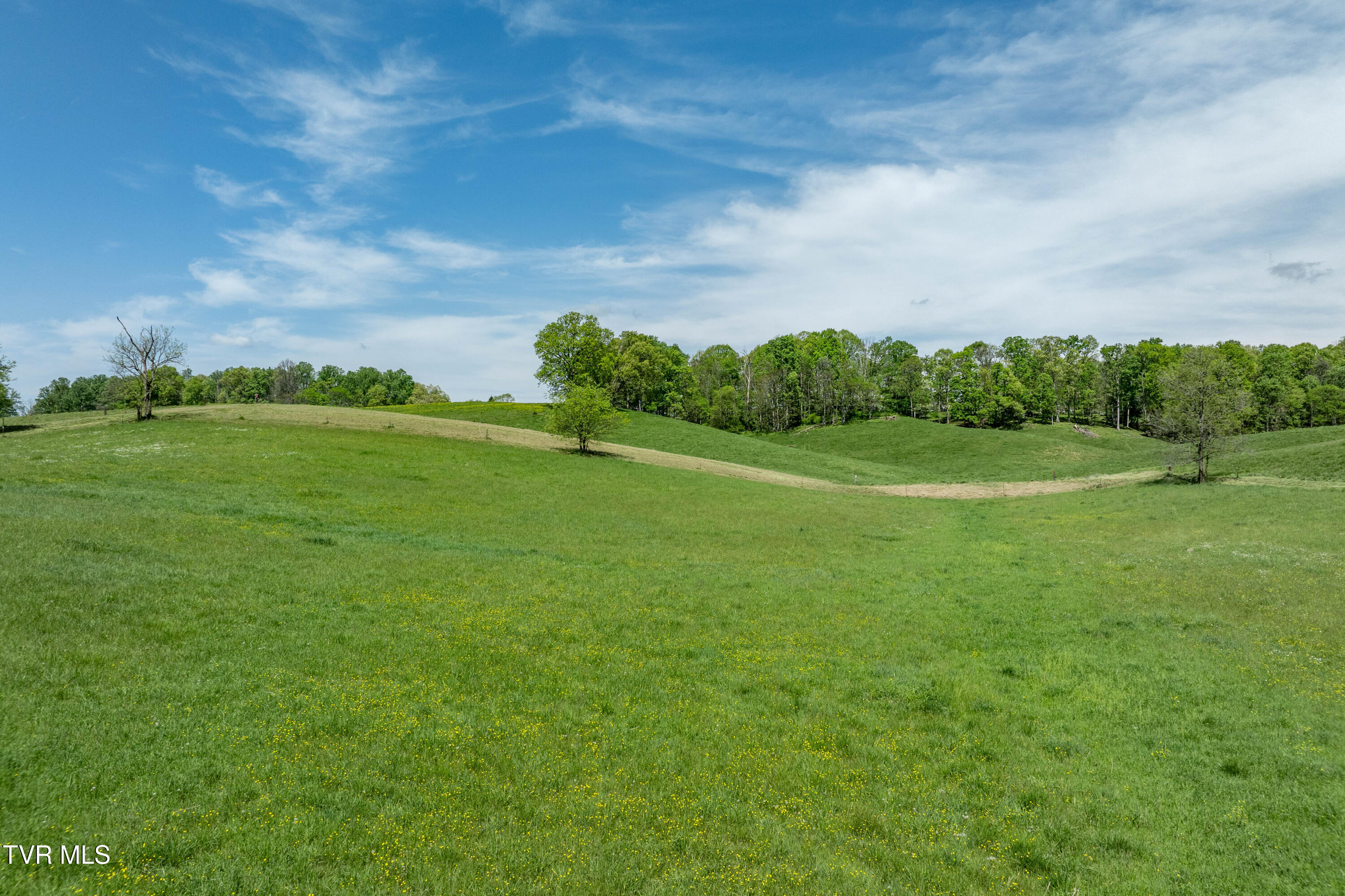 17 Saylor Hill Road Limestone, TN 37681 - Photo 21 of 32 TBD Saylor Hill Road Limestone (31 of 3