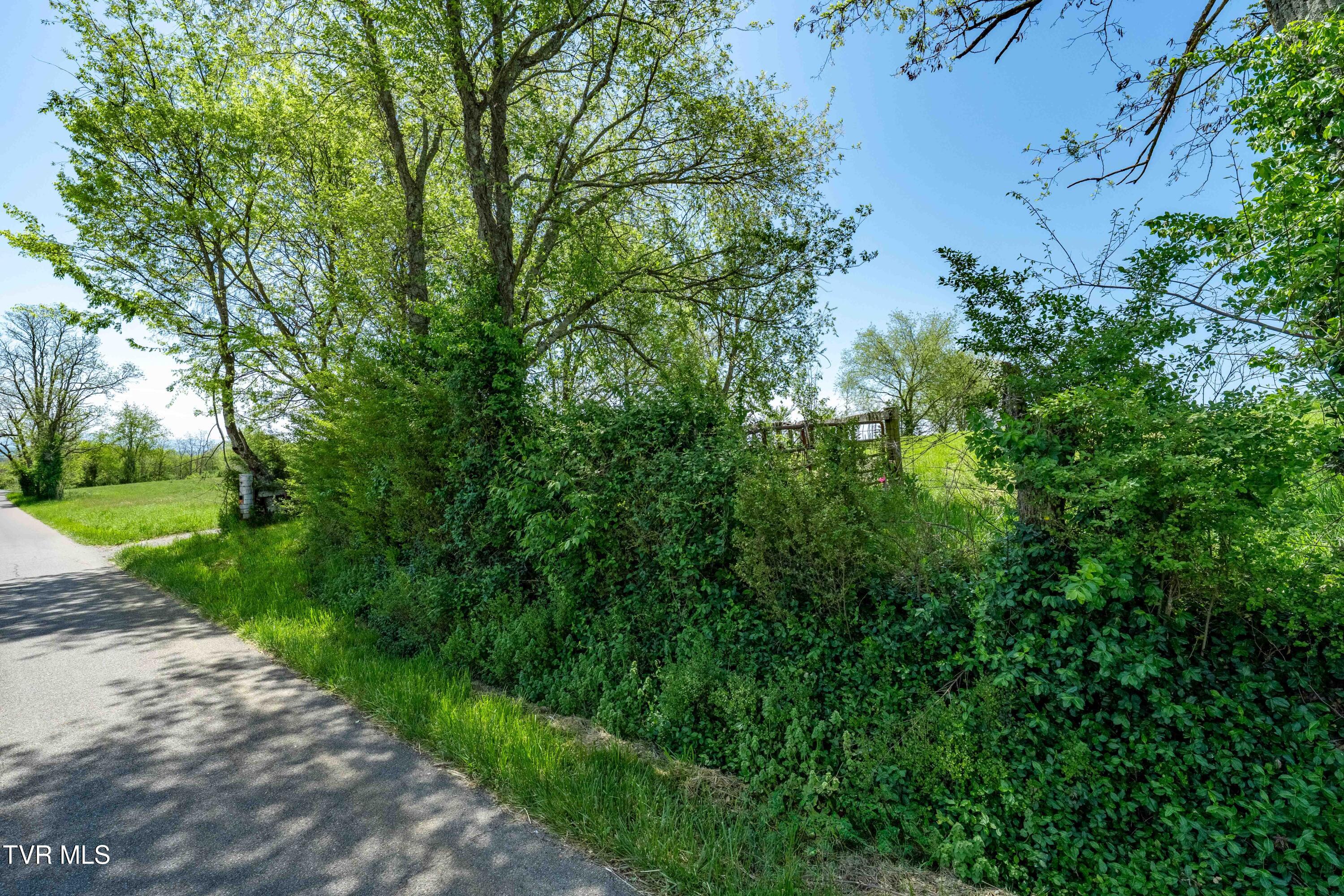 17 Saylor Hill Road Limestone, TN 37681 - Photo 23 of 32 TBD Saylor Hill Road Limestone (33 of 3