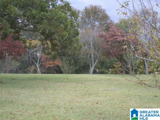 1024 Highway 12 Oneonta Al Oneonta, AL 35121 - Photo 11 of 14