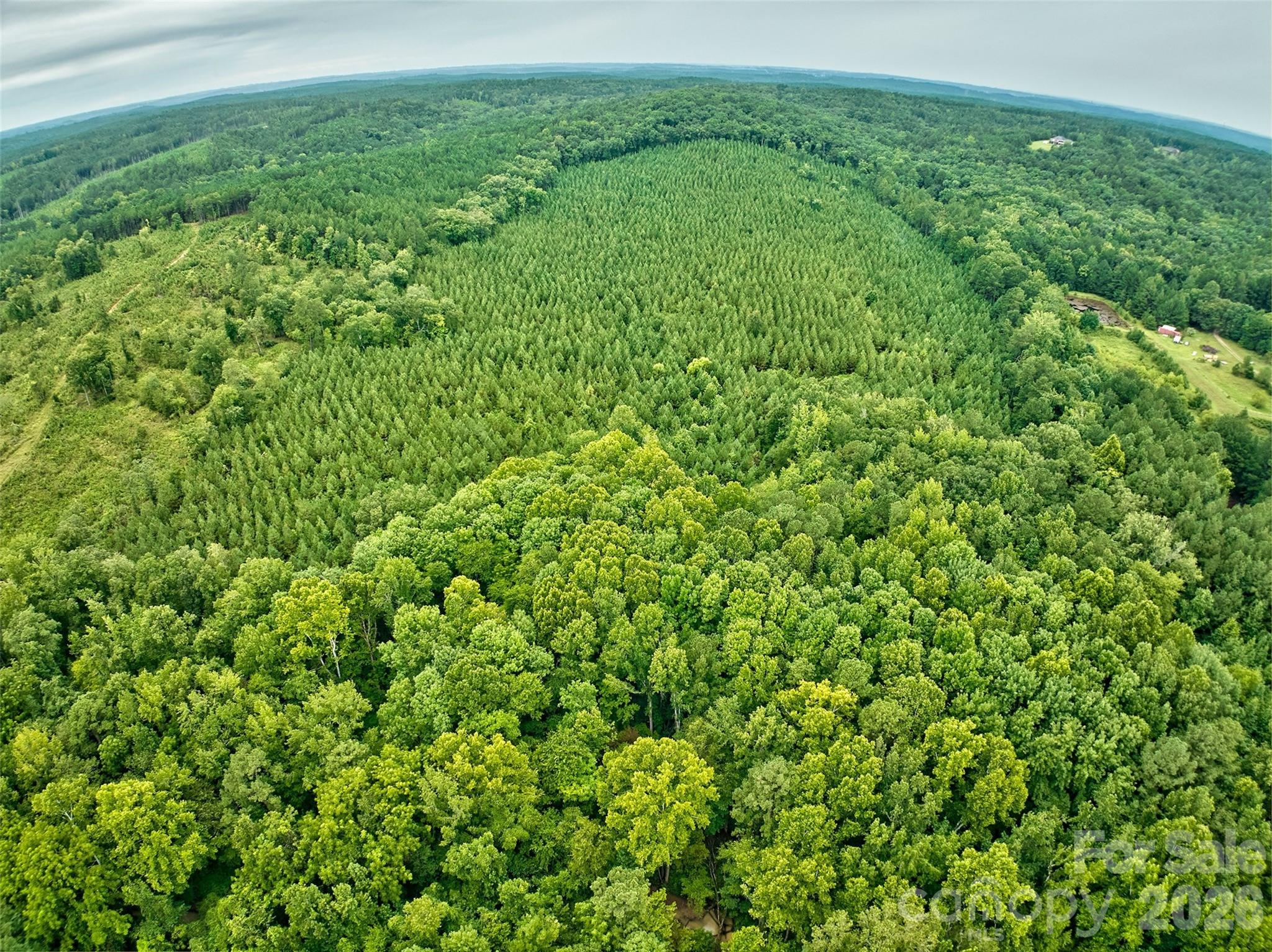 21 US Highway 21 Highway Ridgeway, SC 29130 - Photo 12 of 23