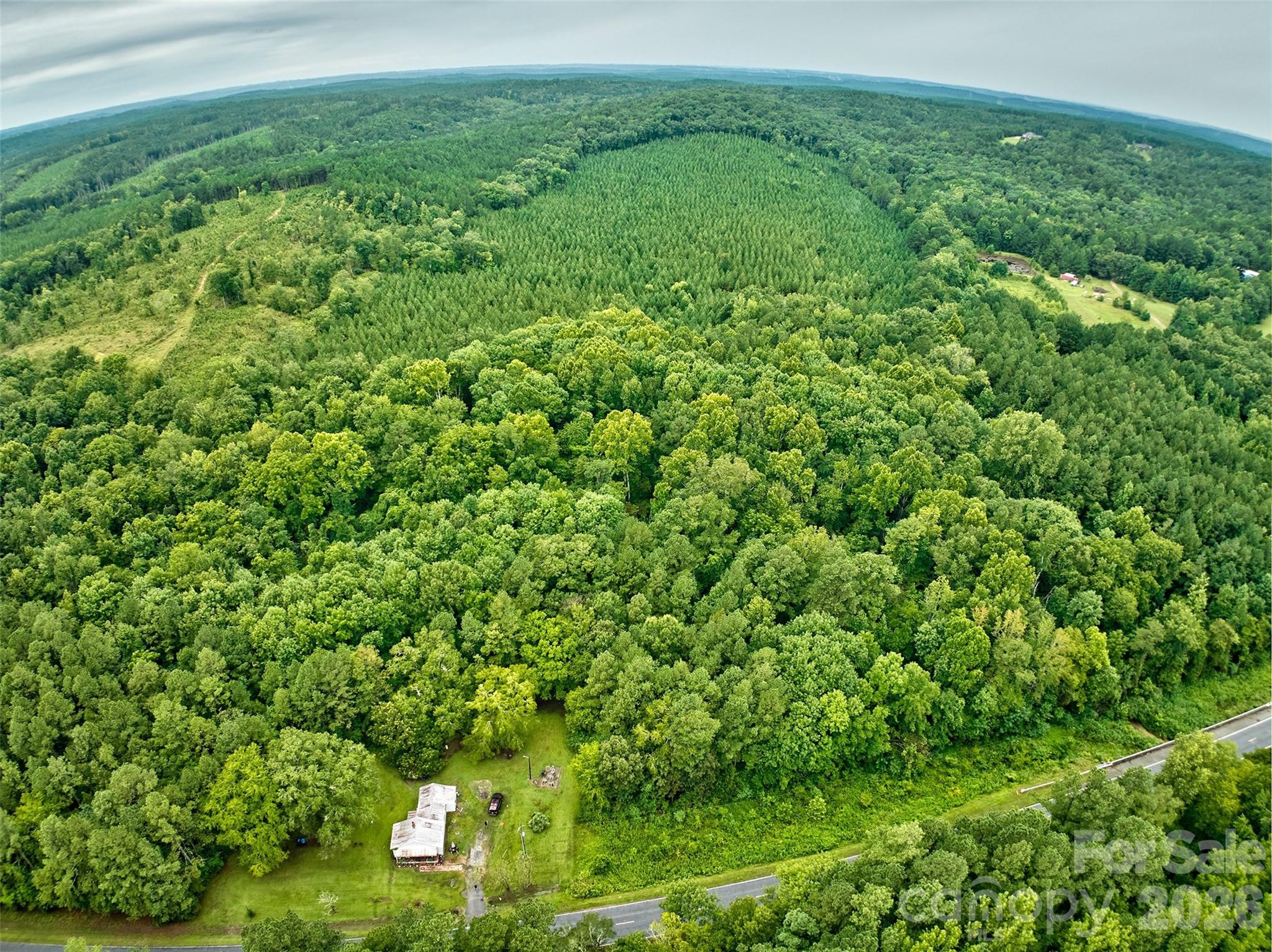 21 US Highway 21 Highway Ridgeway, SC 29130 - Photo 13 of 23