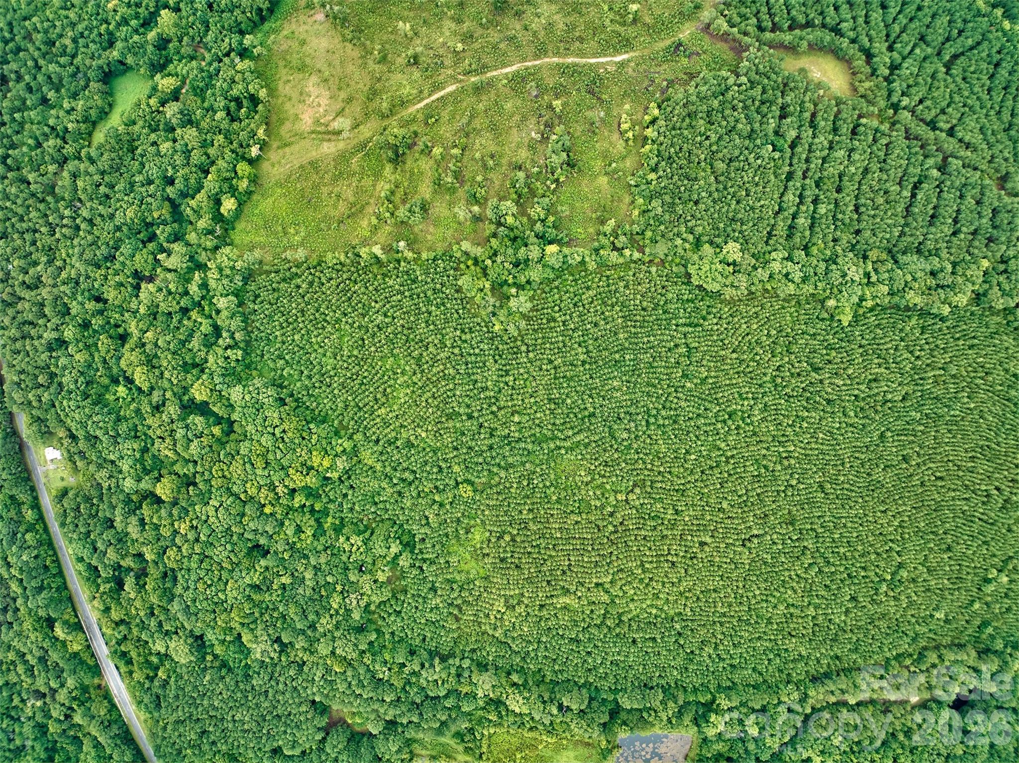 21 US Highway 21 Highway Ridgeway, SC 29130 - Photo 15 of 23