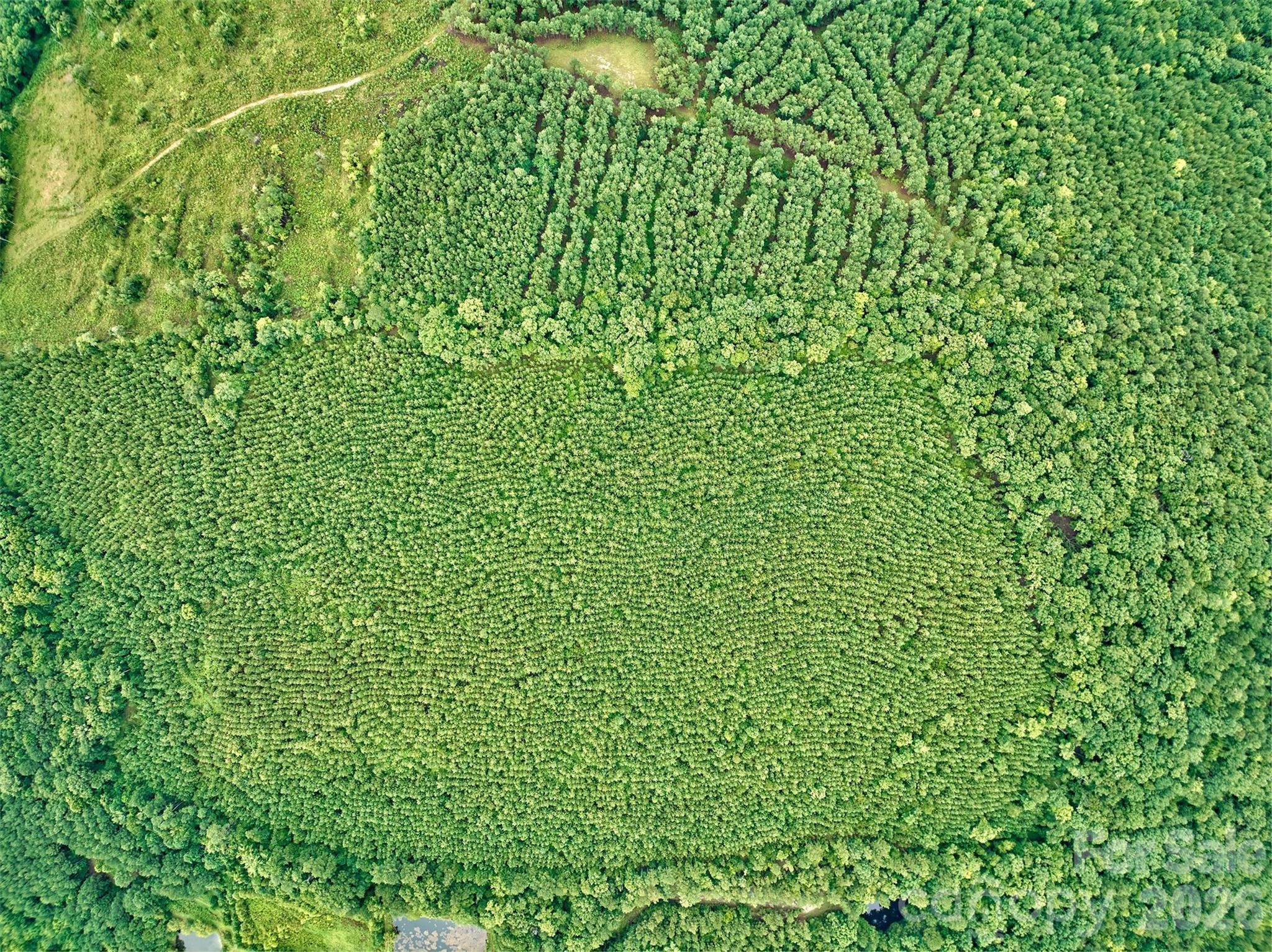 21 US Highway 21 Highway Ridgeway, SC 29130 - Photo 16 of 23