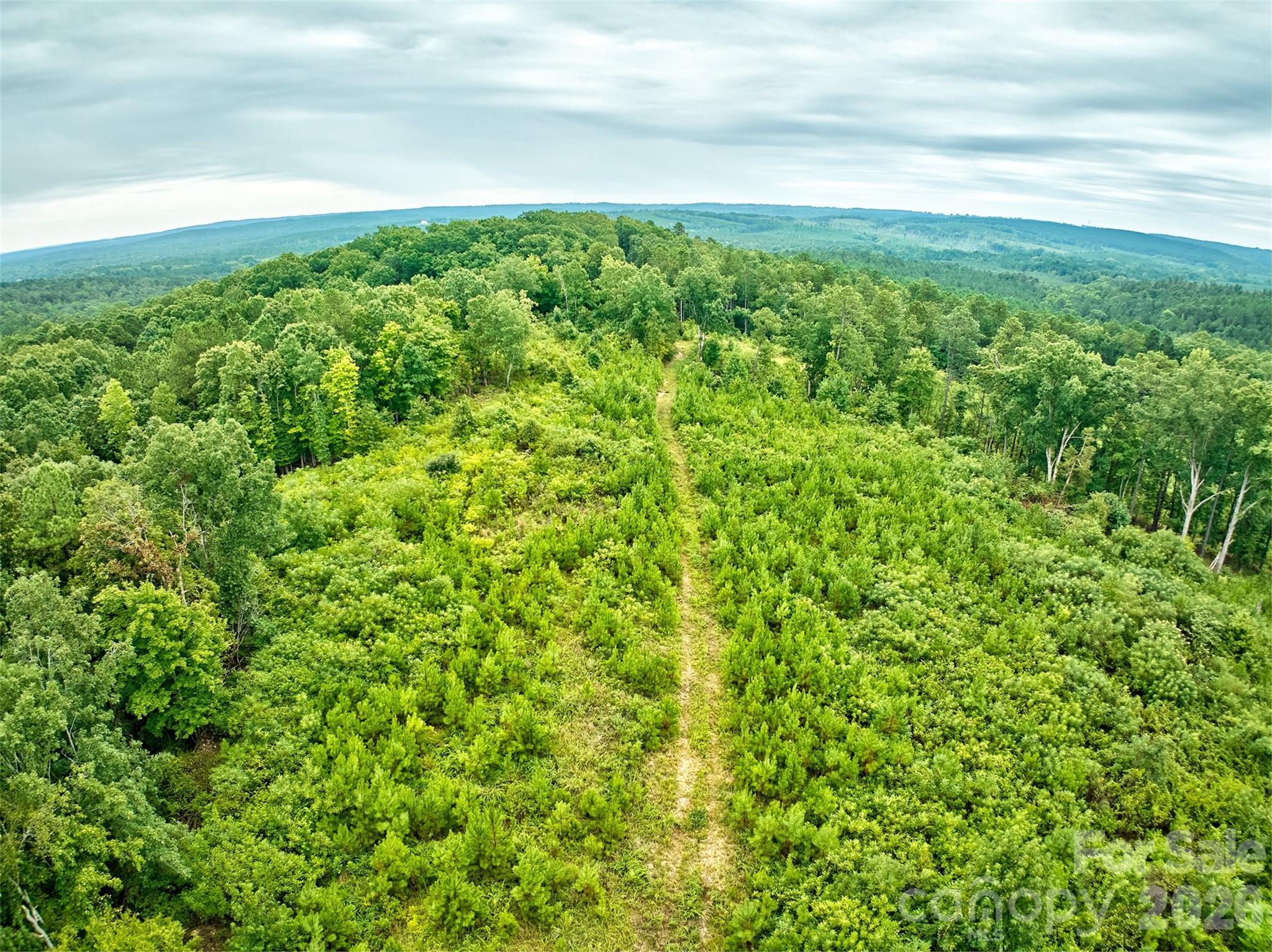 21 US Highway 21 Highway Ridgeway, SC 29130 - Photo 17 of 23