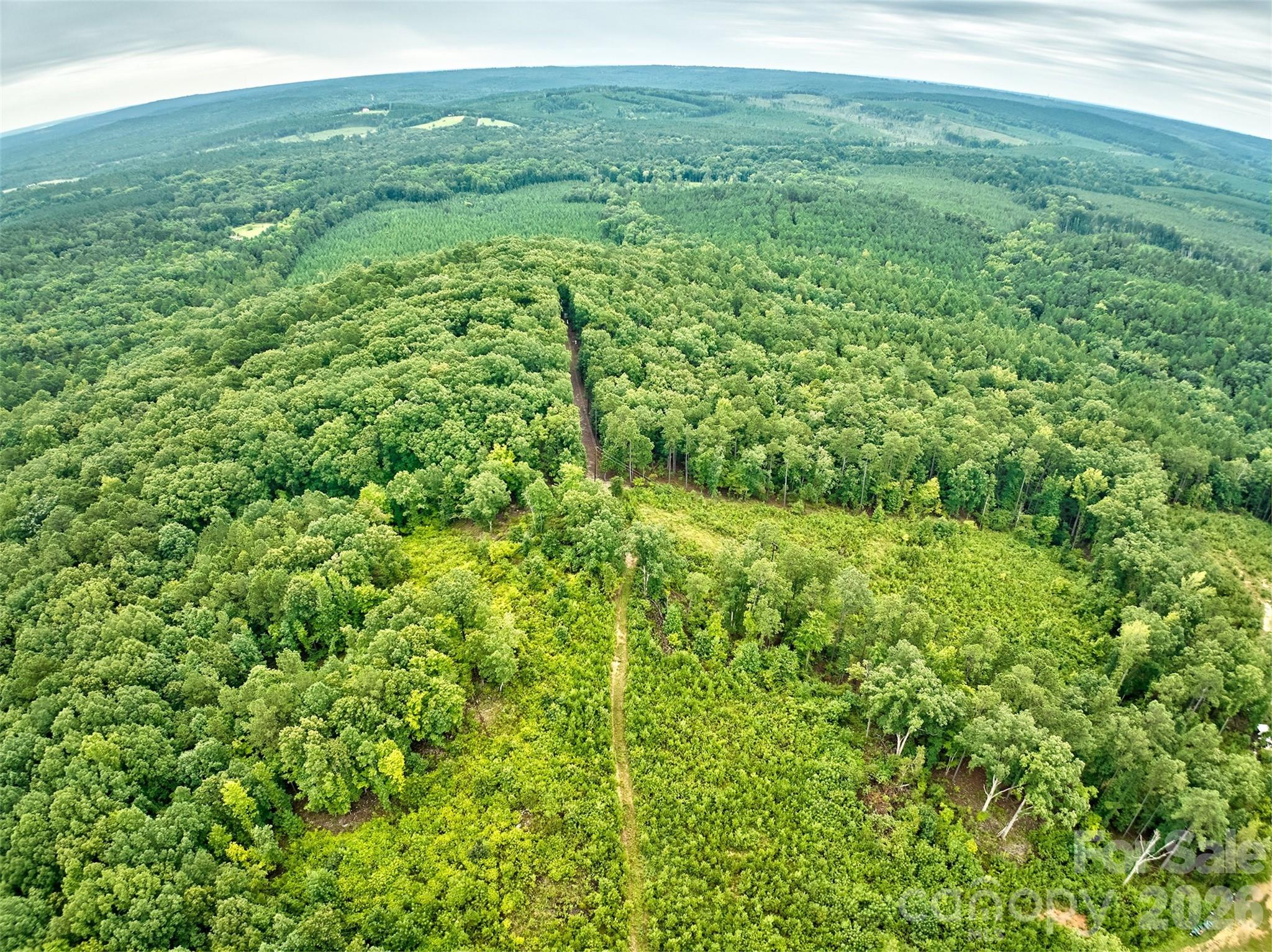 21 US Highway 21 Highway Ridgeway, SC 29130 - Photo 18 of 23