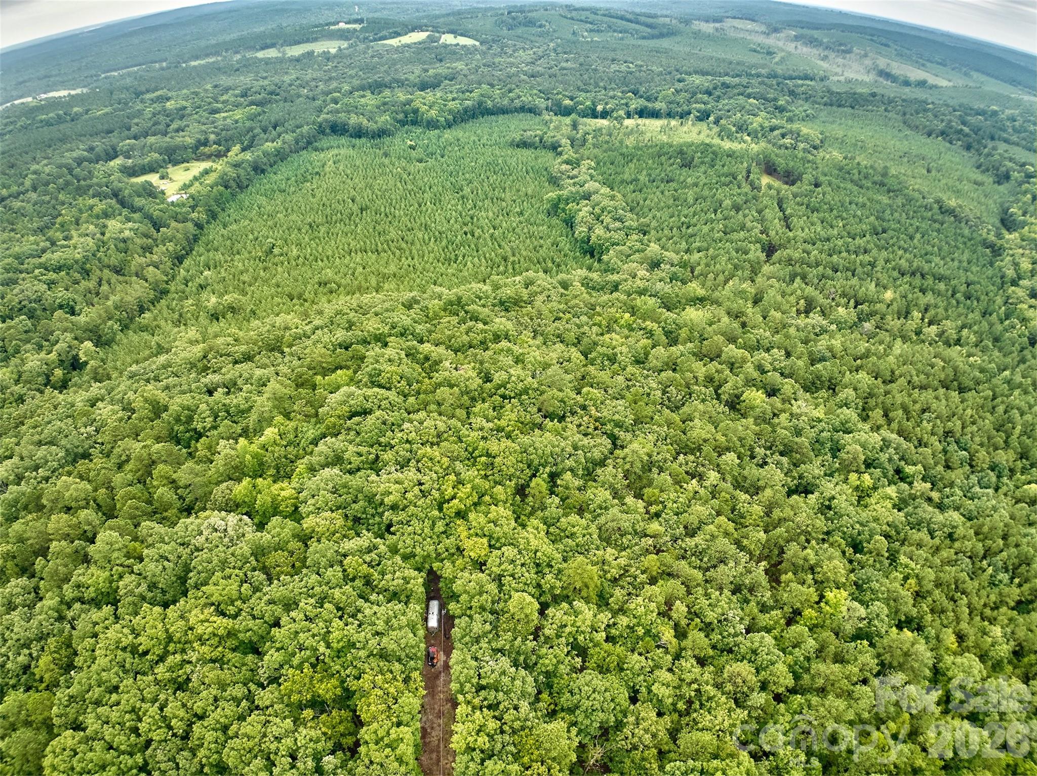 21 US Highway 21 Highway Ridgeway, SC 29130 - Photo 19 of 23