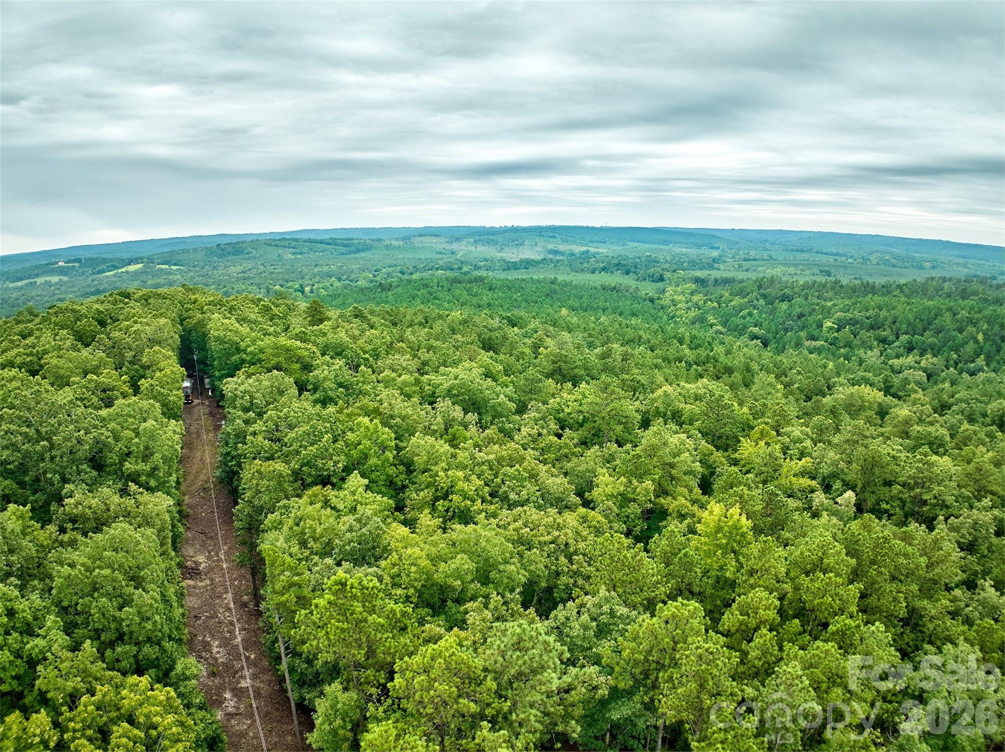 21 US Highway 21 Highway Ridgeway, SC 29130 - Photo 21 of 23