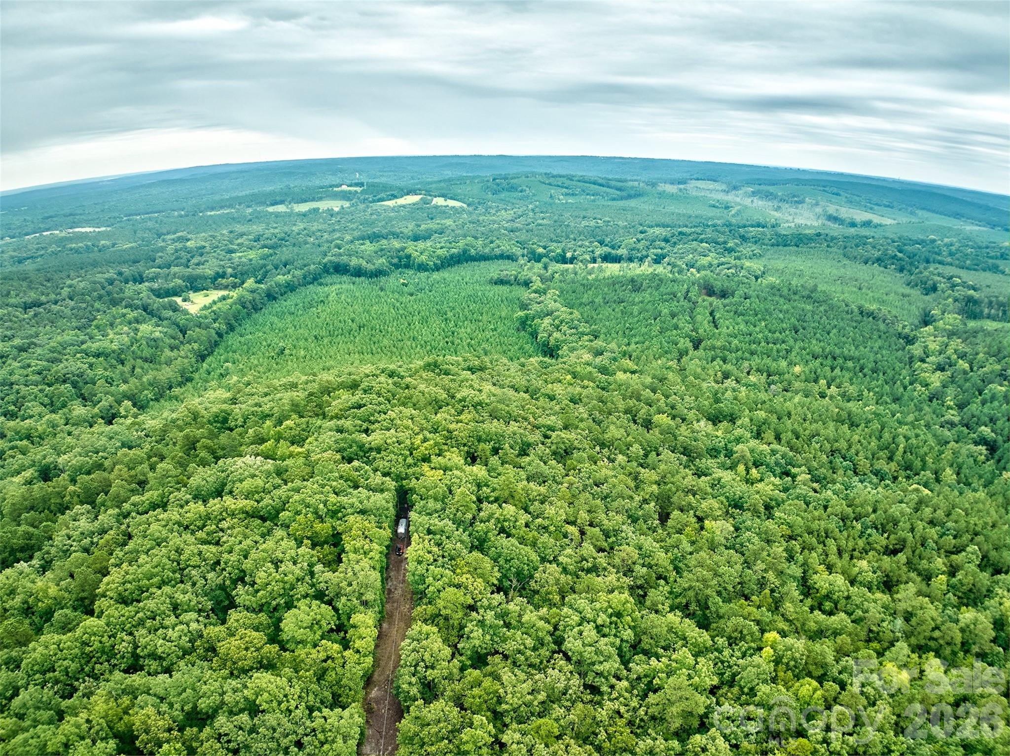21 US Highway 21 Highway Ridgeway, SC 29130 - Photo 22 of 23