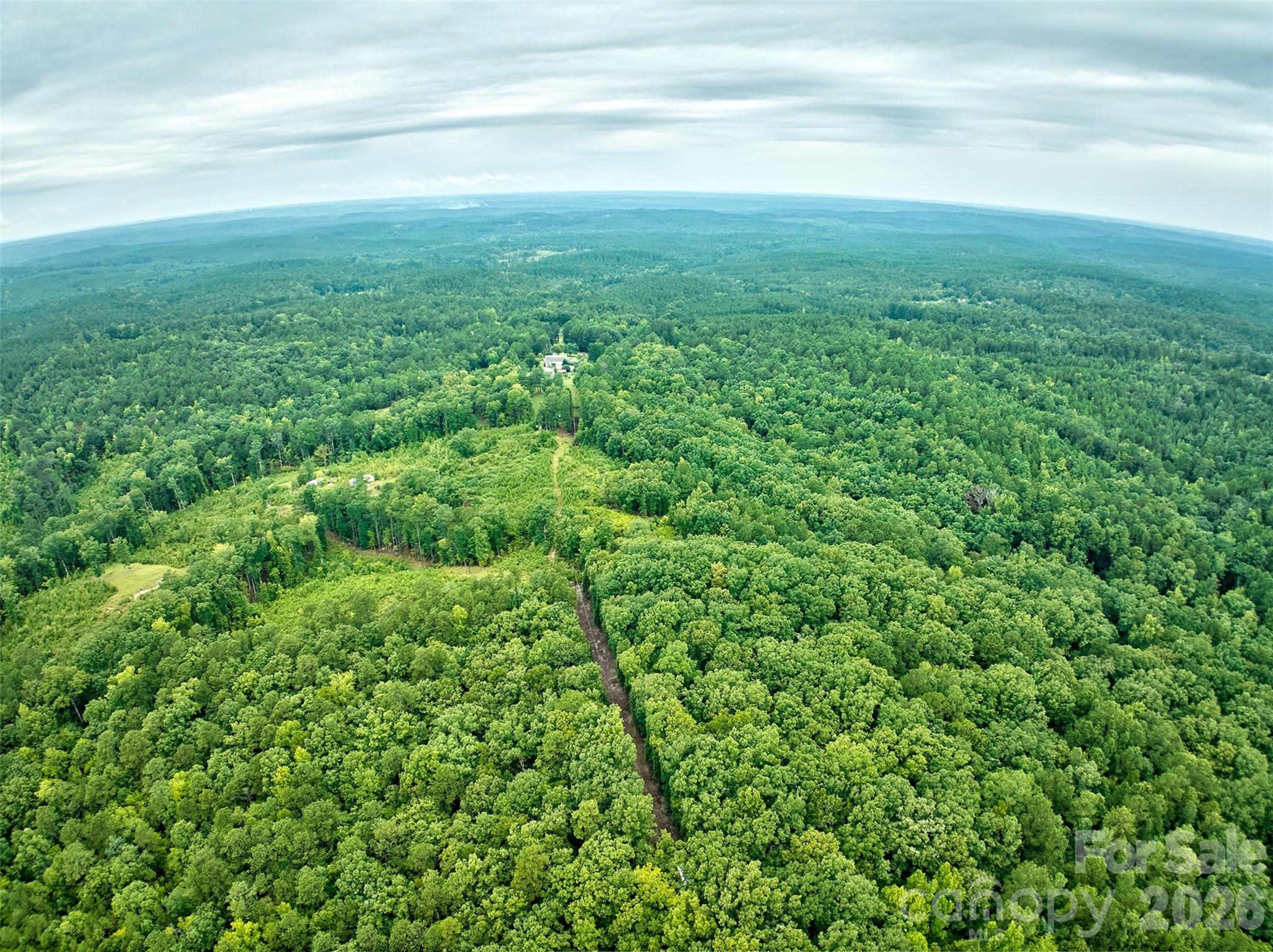 21 US Highway 21 Highway Ridgeway, SC 29130 - Photo 23 of 23