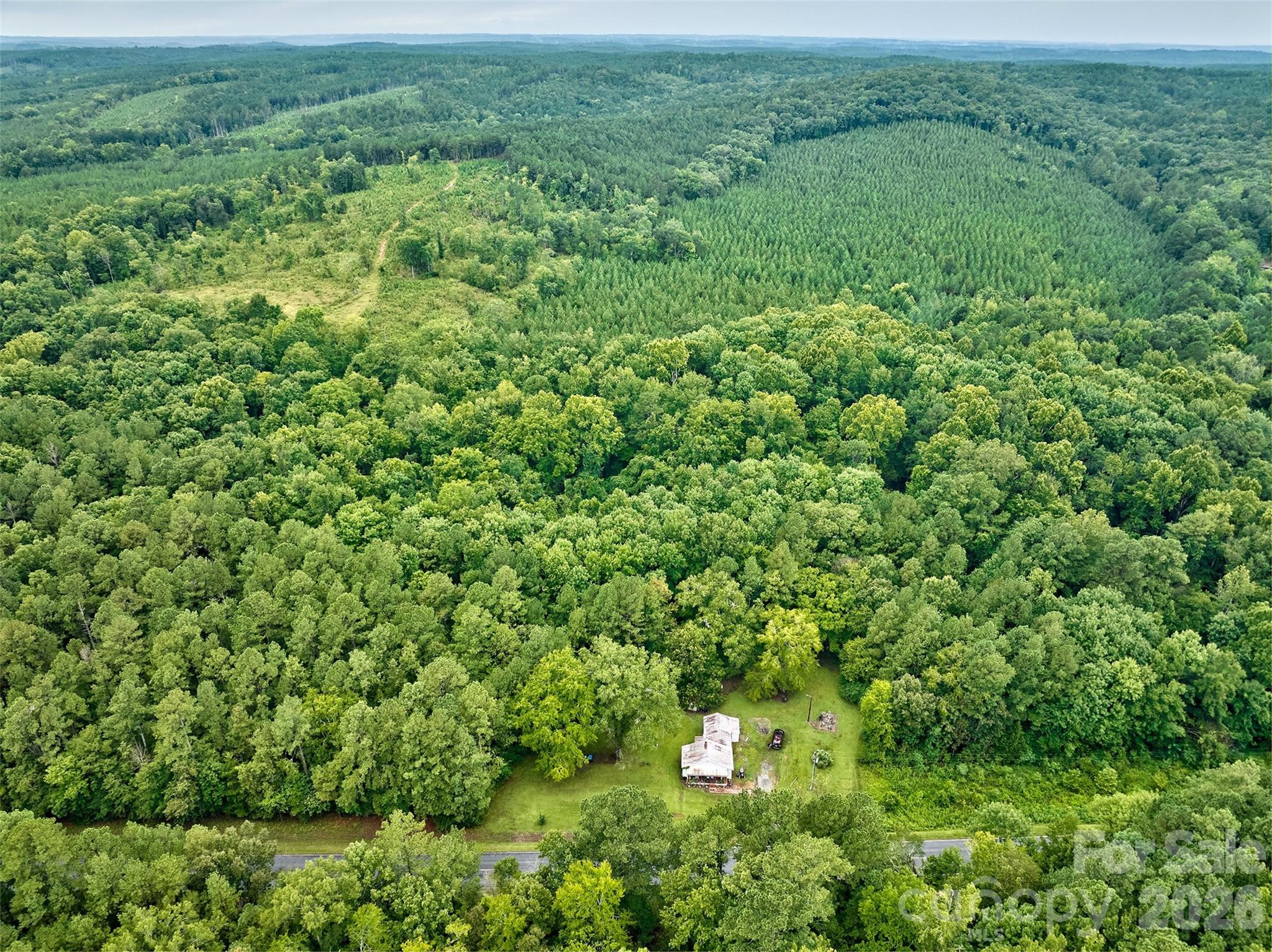 21 US Highway 21 Highway Ridgeway, SC 29130 - Photo 3 of 23