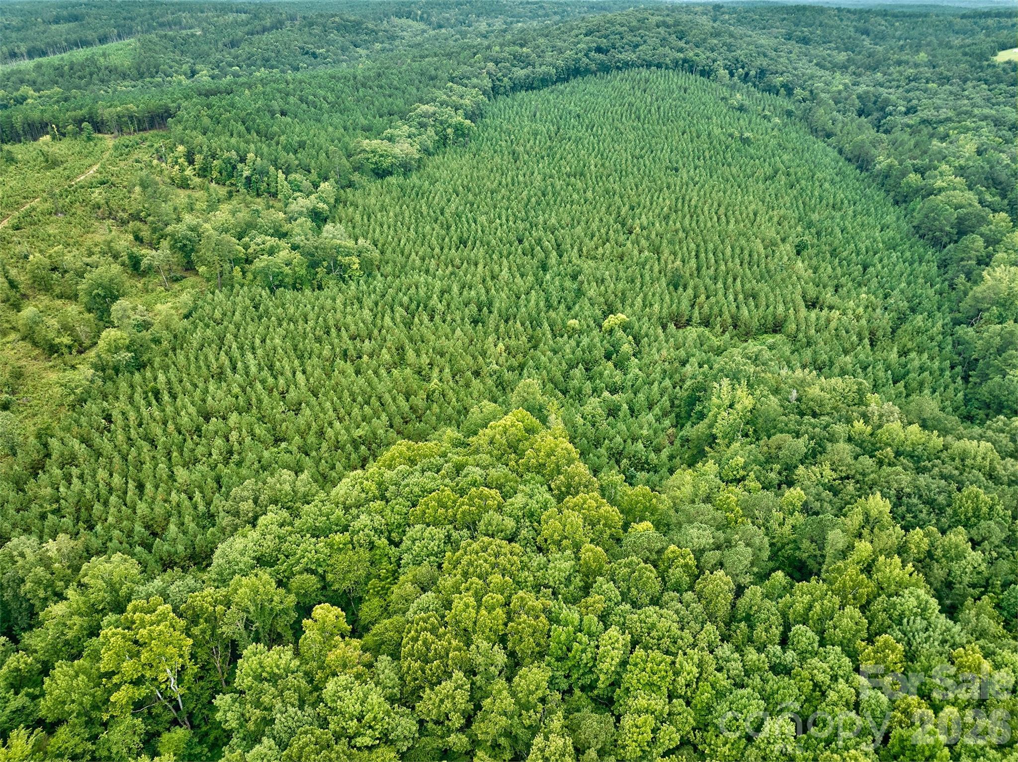 21 US Highway 21 Highway Ridgeway, SC 29130 - Photo 4 of 23