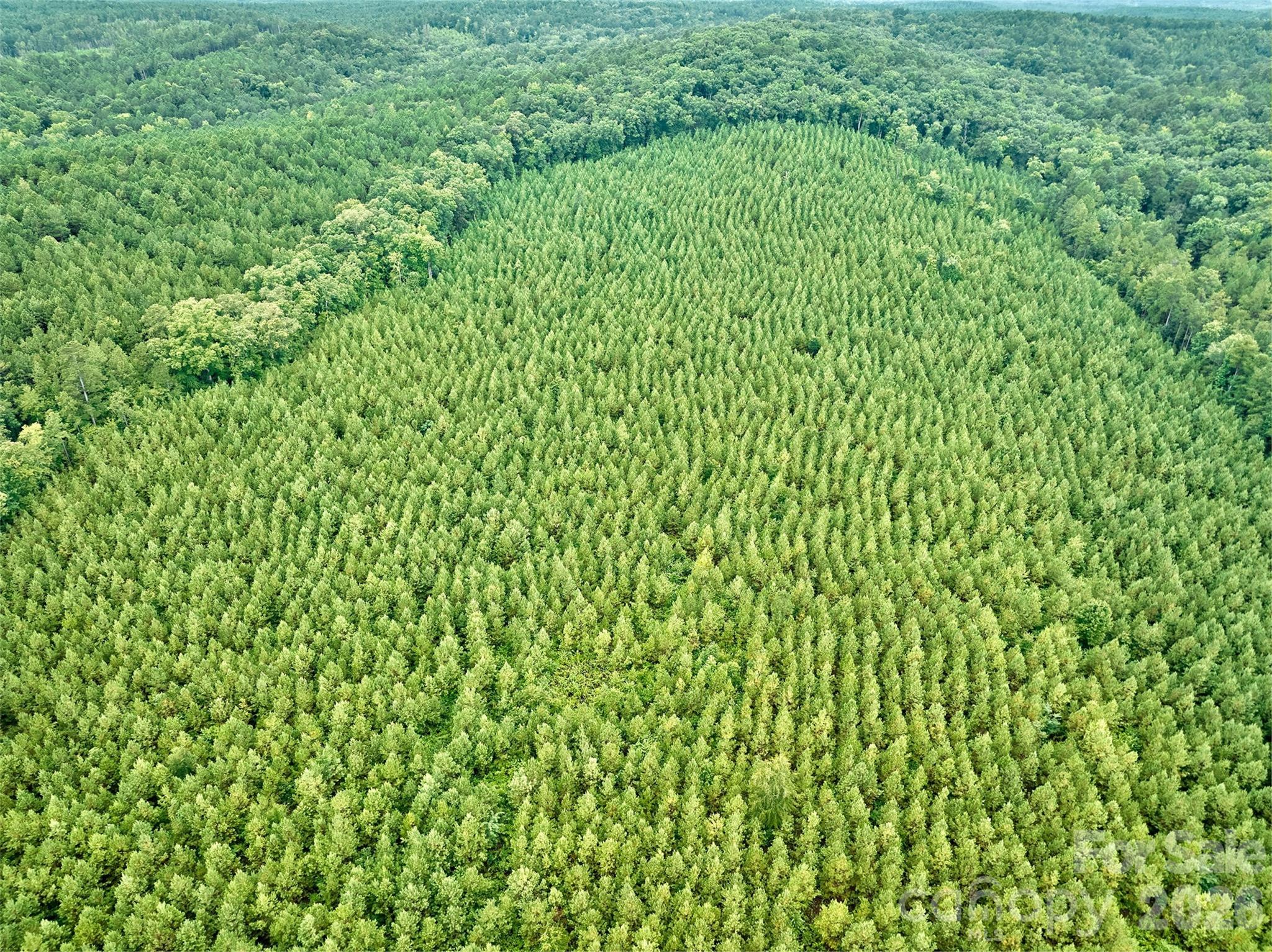 21 US Highway 21 Highway Ridgeway, SC 29130 - Photo 5 of 23