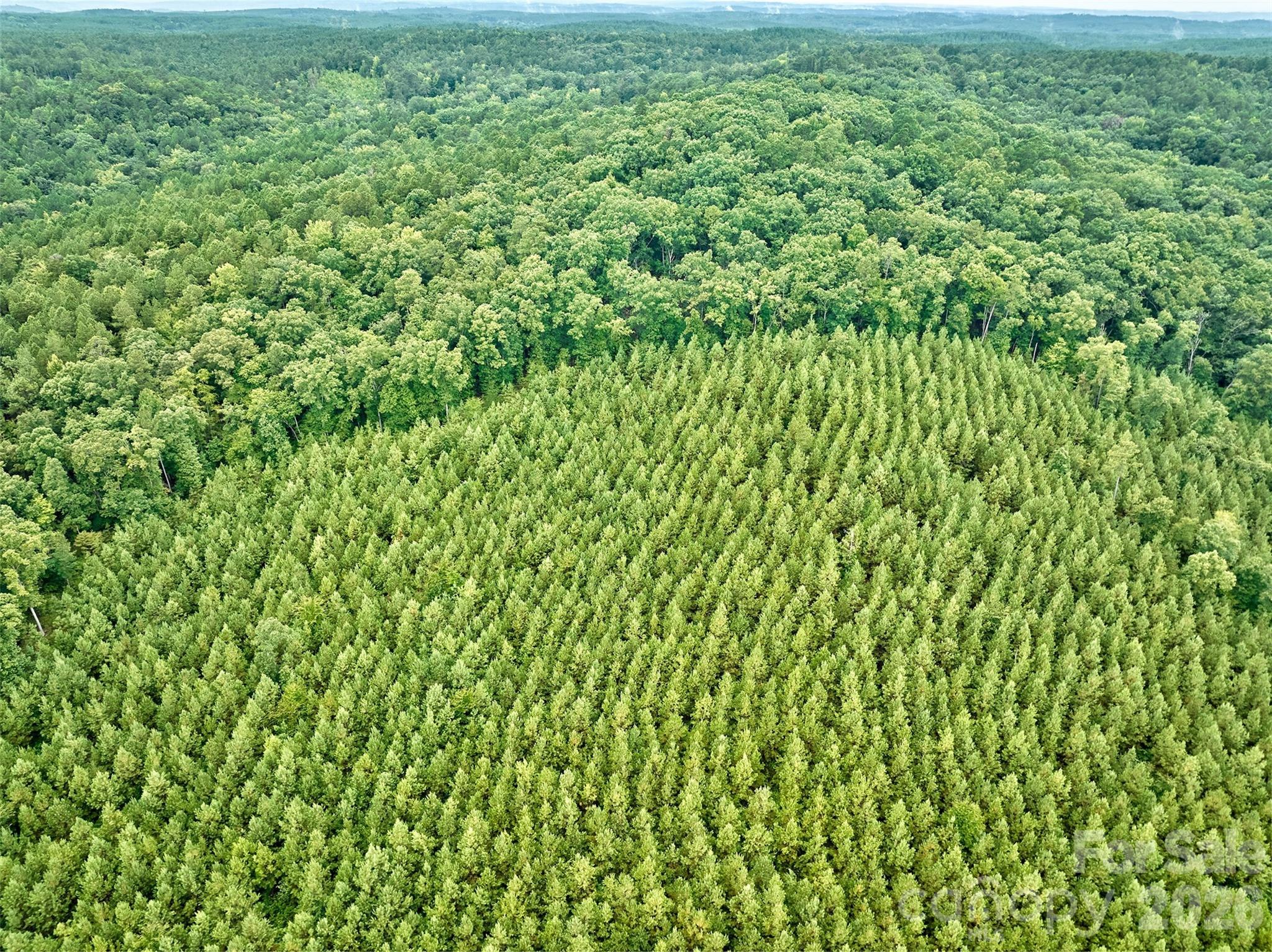 21 US Highway 21 Highway Ridgeway, SC 29130 - Photo 6 of 23