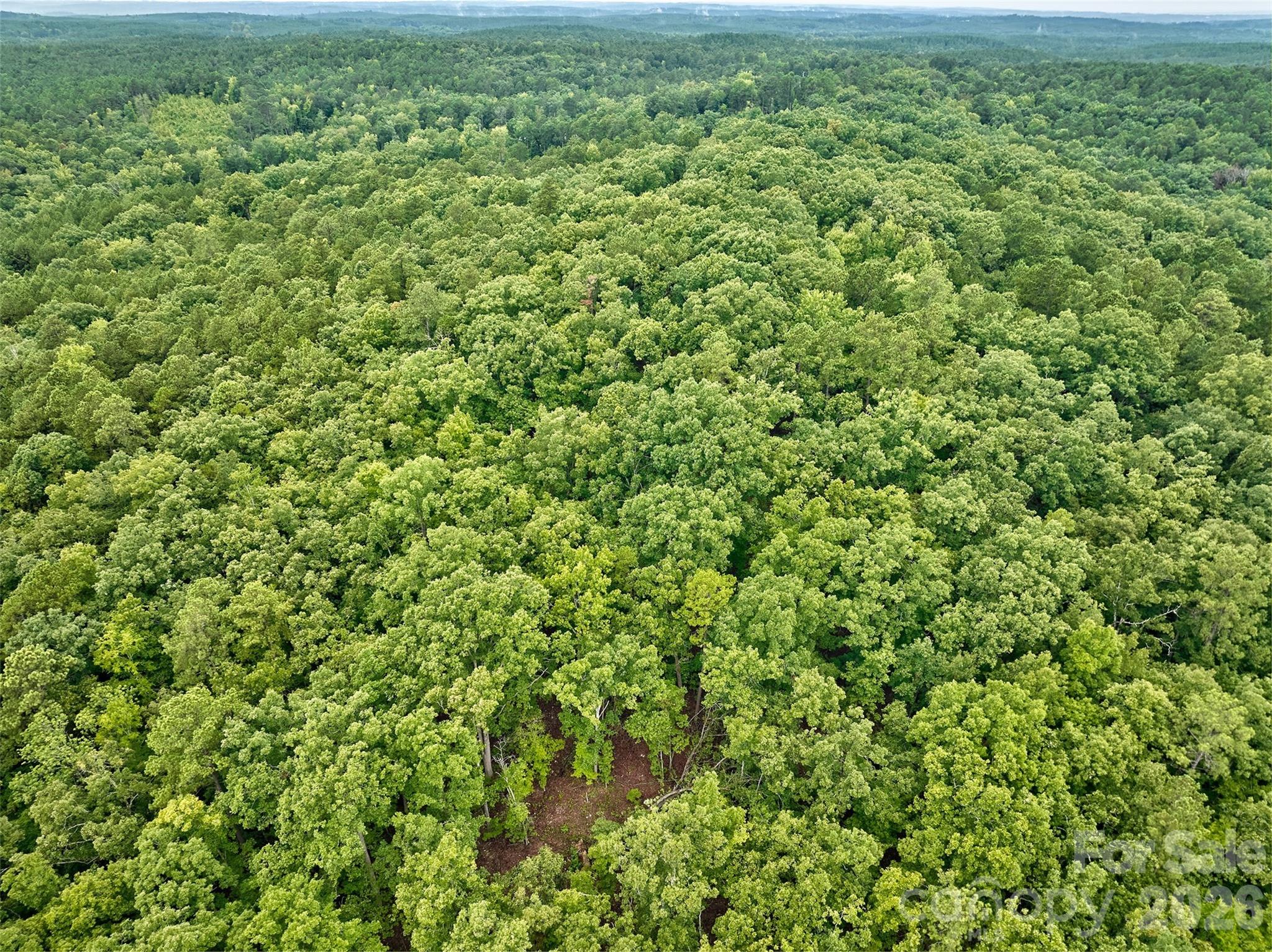 21 US Highway 21 Highway Ridgeway, SC 29130 - Photo 7 of 23