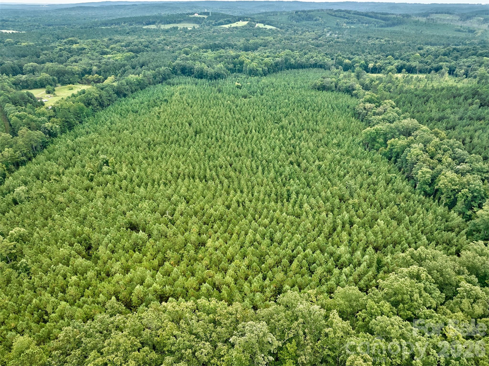 21 US Highway 21 Highway Ridgeway, SC 29130 - Photo 8 of 23