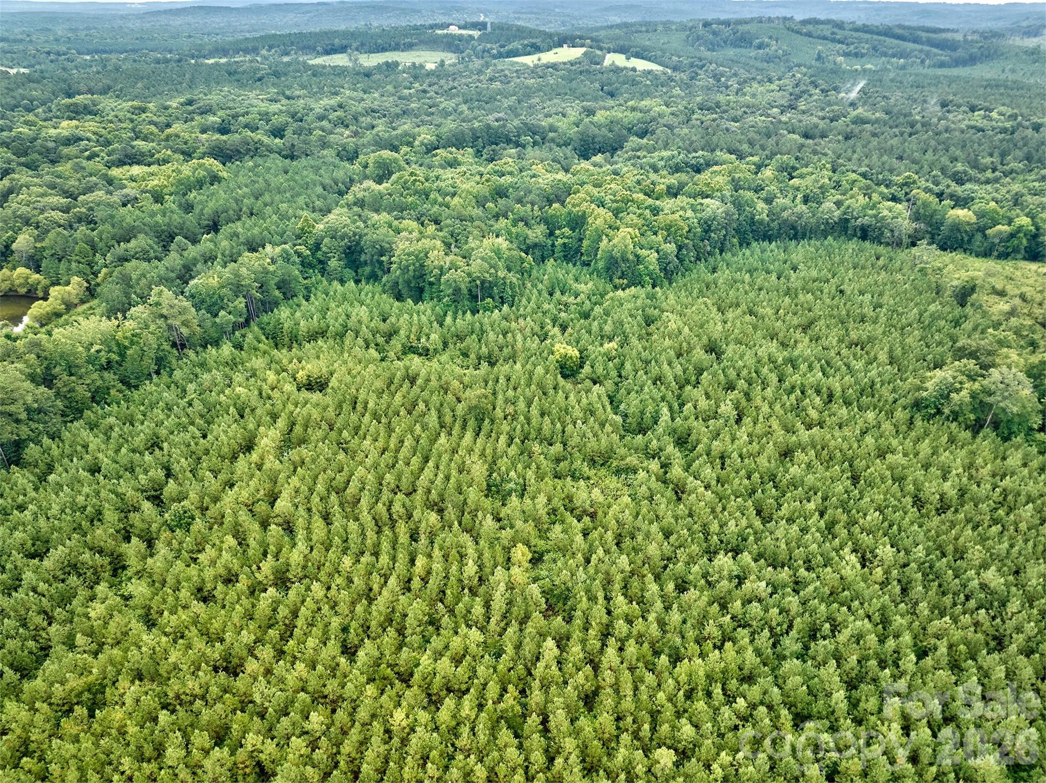 21 US Highway 21 Highway Ridgeway, SC 29130 - Photo 9 of 23