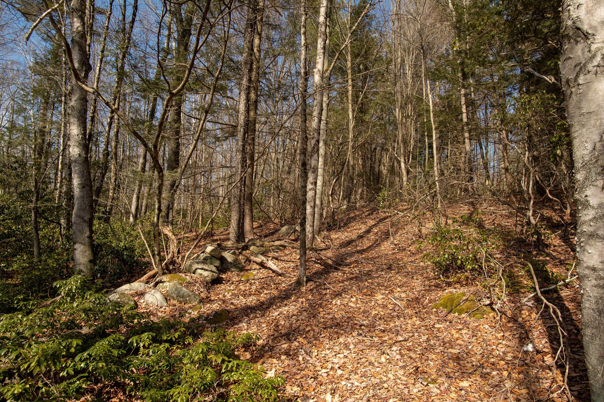 115 Lyon Hill Road Chester, MA 01011 - Photo 9 of 19 Gallery Image 9