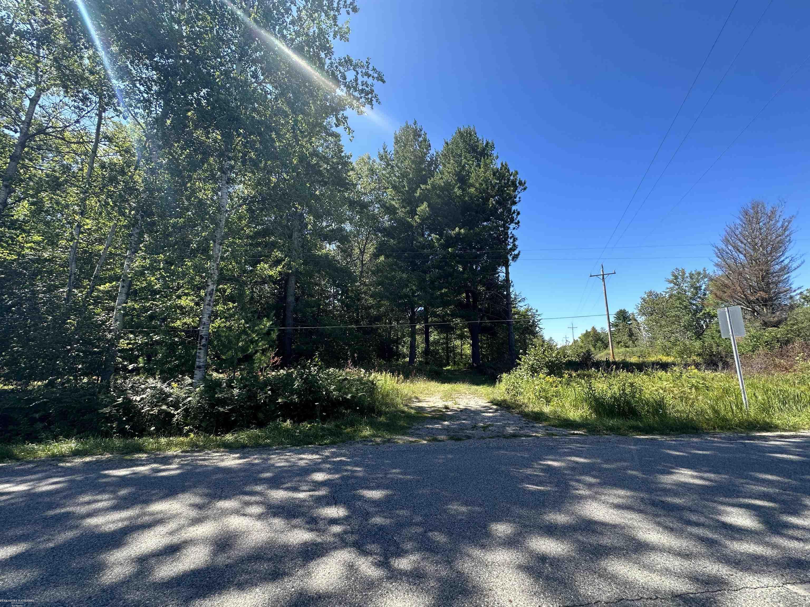 0 Long Lake Road Hale, MI 48739 - Photo 10 of 20
