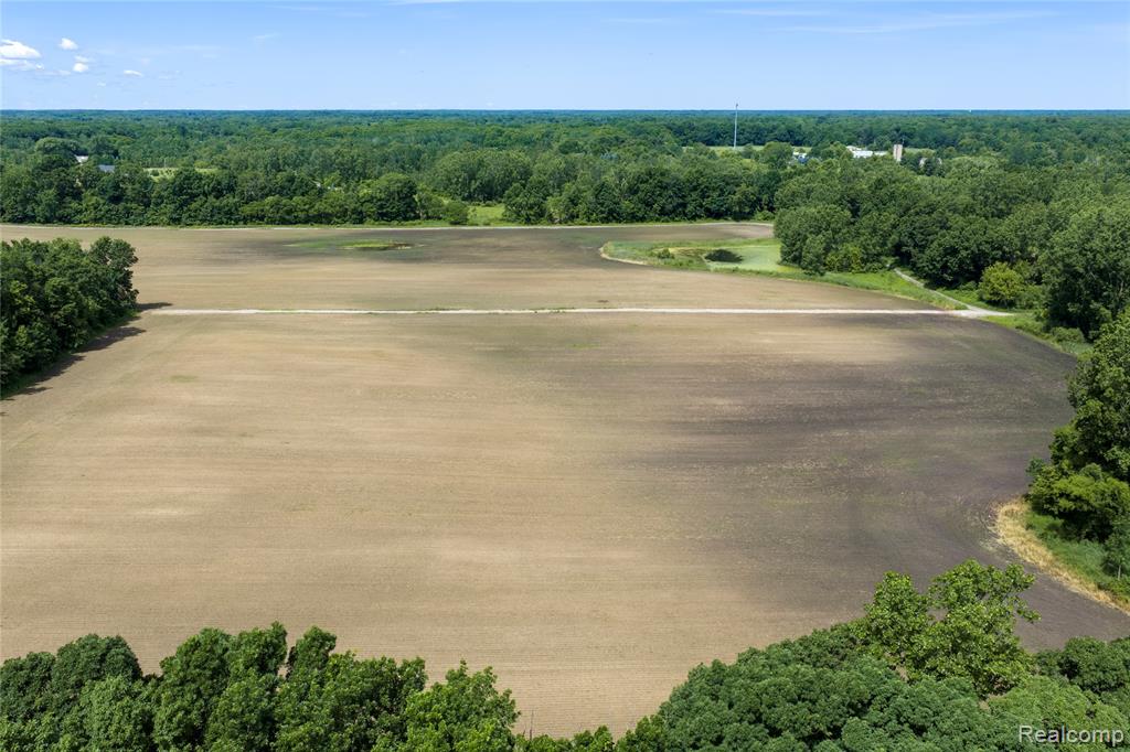 10069 Silver Lake Road Linden, MI 48451 - Photo 8 of 28