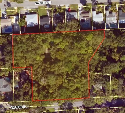 an outdoor space with trees