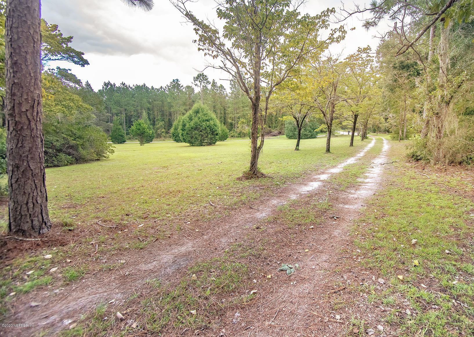 281105 Trigg Road Hilliard, FL 32046 - Photo 38 of 41 a view of a yard with trees
